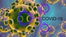 Znanstvenik koji traži lijek za koronavirus otkrio najnovije detalje