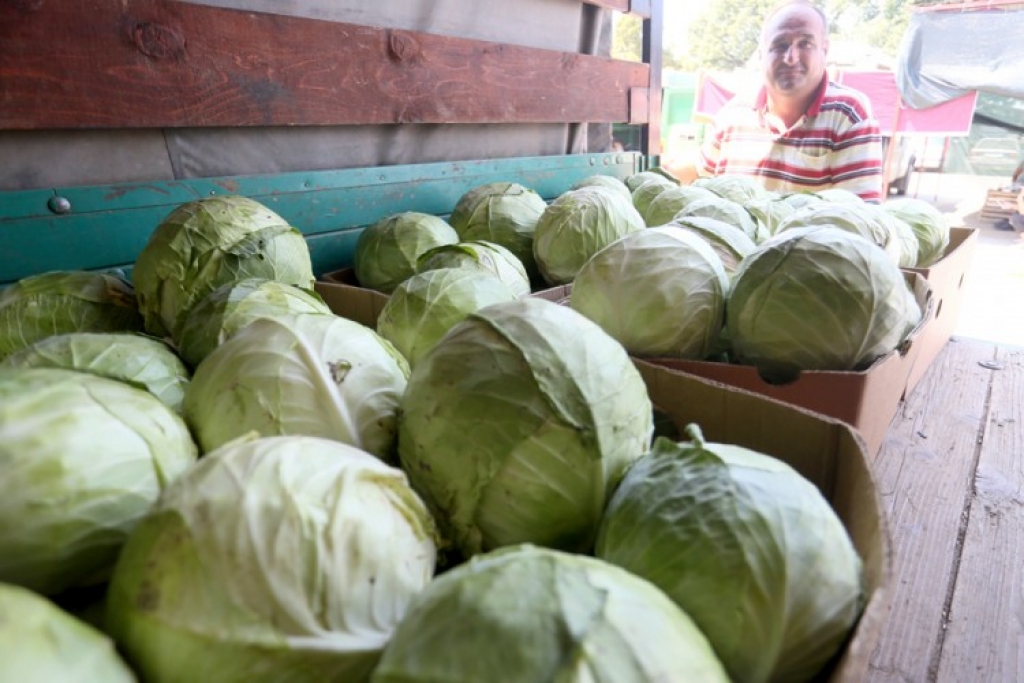 Muke po poljoprivrednicima: Zaoravaju kupus, loša cijena krumpiru, lubenici i luku