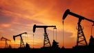Cijene nafte pale četvrti tjedan zaredom, više od 20 posto