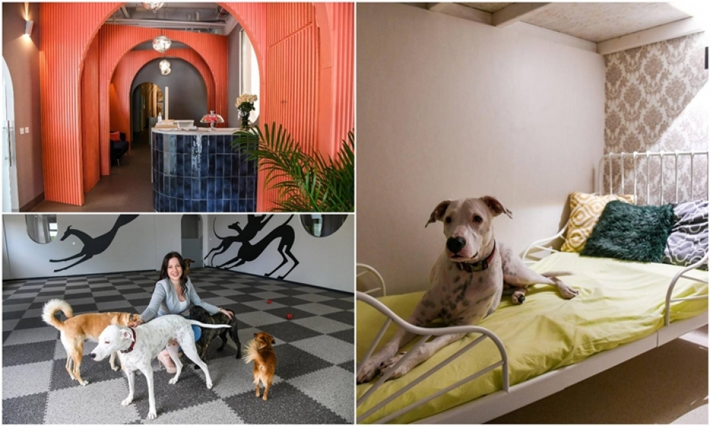 U Zagrebu otvoren hotel za pse, a cijena noćenja je do 470 kuna