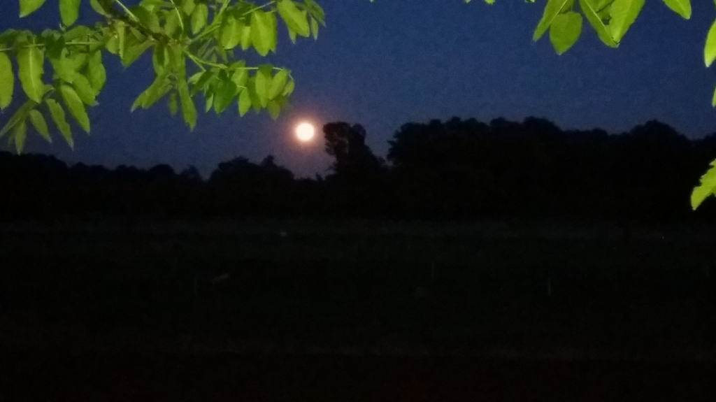 Pun mjesec iznad Ljubuškog [foto]
