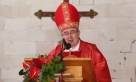 Kardinal Puljić: Gdje god se možemo podijeliti, podijelili smo se; tri Hrvata, četiri stranke