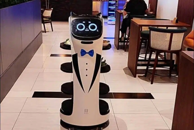 Primorac: Nisam očekivao da će se ikada dogoditi da roboti poslužuju u hercegovačkim restoranima