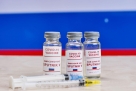 Privatni sektor iz zapadne Hercegovine će kupiti rusko cjepivo
