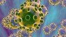 Nove brojke koronavirusa u Ljubuškom i ŽZH
