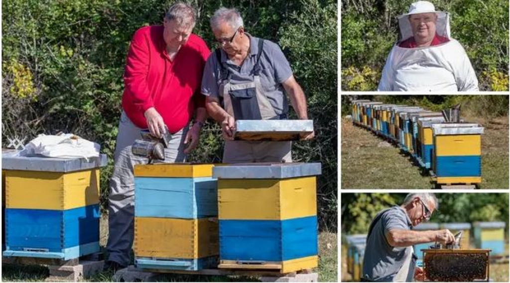 Hercegovački pčelari: “Pčelinji otrov ćemo prodavati u Europi, za kilu se dobije i 20 tisuća eura”