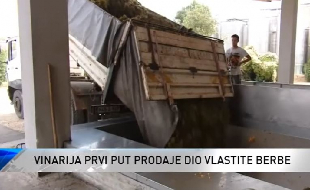Pandemija utjecala i na vinare u Hercegovini: U podrumima višak vina