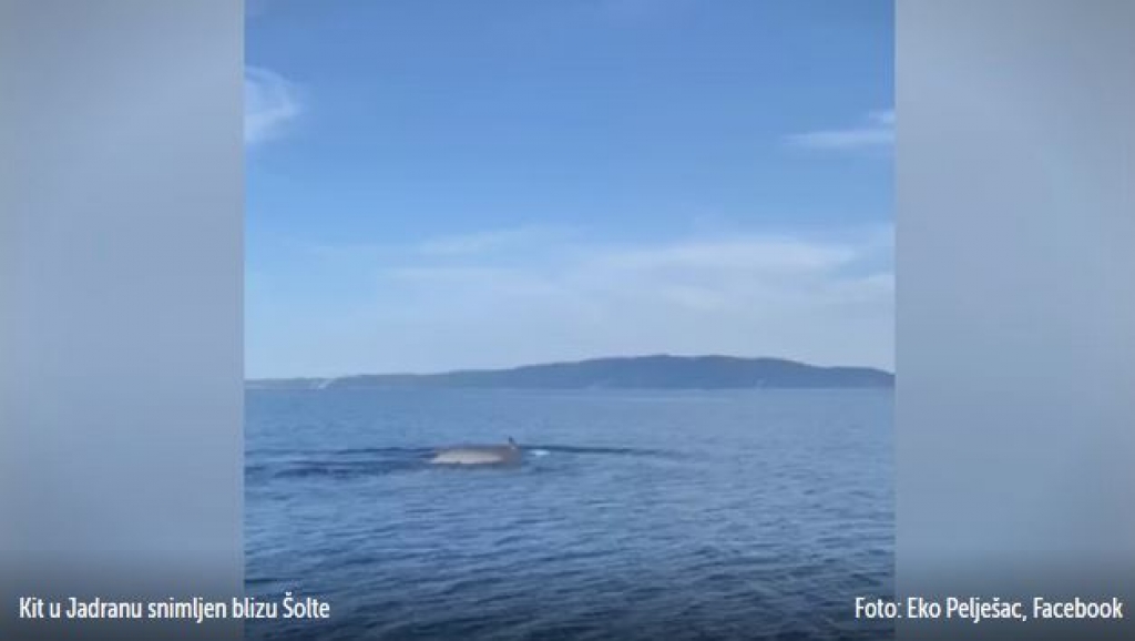 Spektakularan prizor - kit snimljen kraj Šolte [video]