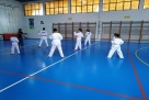 TKD Brežan - Nižić 1976: Danas i sutra taekwondo treninzi i seminar [najava]