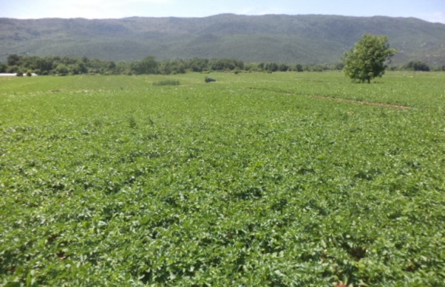 Poziv poljoprivrednim proizvođačima s područja Grada Ljubuškog