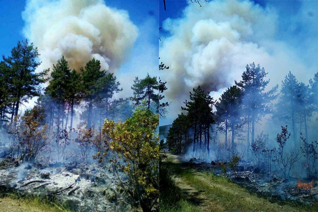 Dva požara na području Ljubuškog