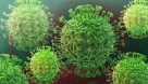 Koronavirus opasan tek kao i obična gripa