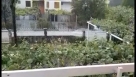 Tuča uništila voće i povrće u Čapljini