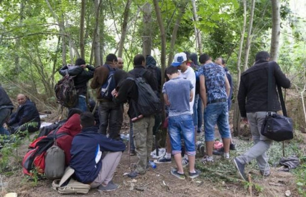 Policija u ŽZH pronašla četiri migranta