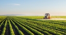 Poljoprivreda spas?:Rast izvoza poljoprivrednih proizvoda od skoro 20 posto