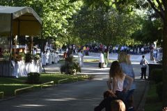 devetnica-6-2020-34.jpg