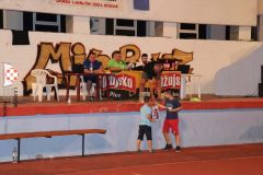 IMG_3235.jpg