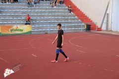 IMG_3313.jpg