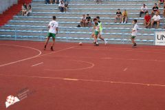 IMG_3317.jpg