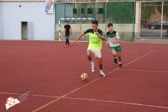 IMG_3323.jpg