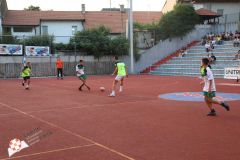 IMG_3329.jpg