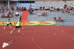 IMG_3330.jpg