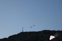 IMG_2387.jpg