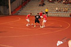 IMG_2455.jpg