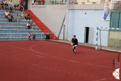 IMG_1382.jpg
