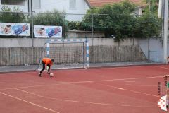 IMG_1385.jpg