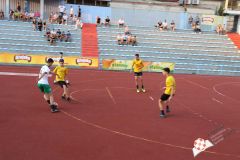 IMG_2888.jpg