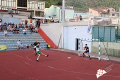 IMG_2895.jpg