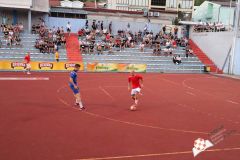IMG_2920.jpg