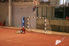 IMG_2949.jpg