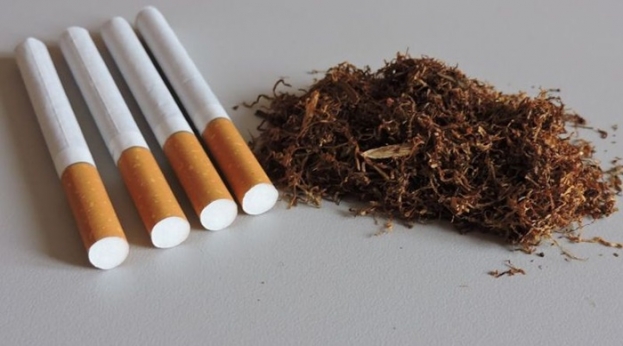 S Orahovlja u Orah: Oduzeto više tisuća kutija cigareta i 30 kg duhana