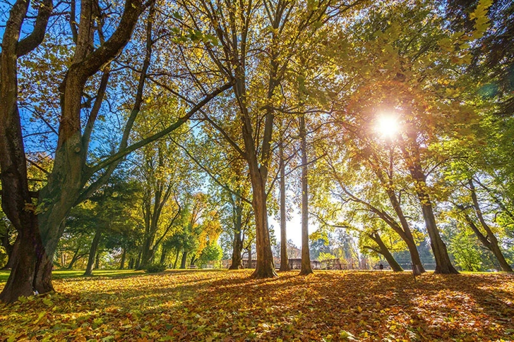 Uživajte u babljem ljetu, evo kad stižu kiše