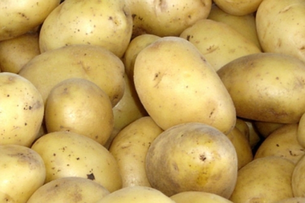 A 0,10 KM/kg: U Republiku Srpsku zabranjen uvoz 63 tone krumpira iz Poljske