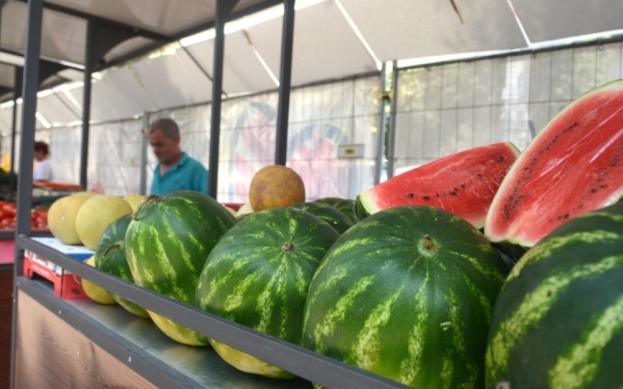 Poljoprivrednici traže privremenu zabranu uvoza lubenice