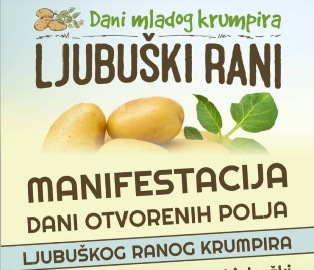 NAJAVA: Manifestacija “Dani mladog krumpira – Ljubuški rani”