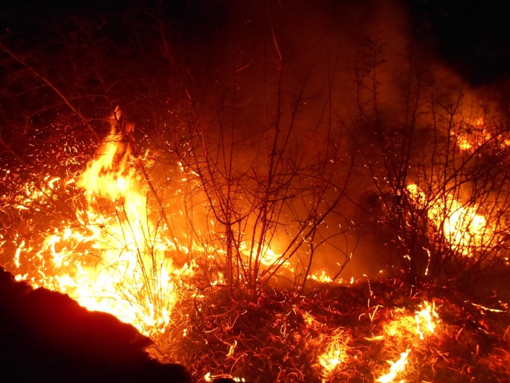 Četiri požara u Studencima, 50.000 m² opožareno na Kravici