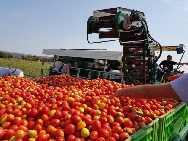 Hercegovina dobiva 3 tvornice za proizvodnju hrane koju će izvoziti u zemlje Europske unije