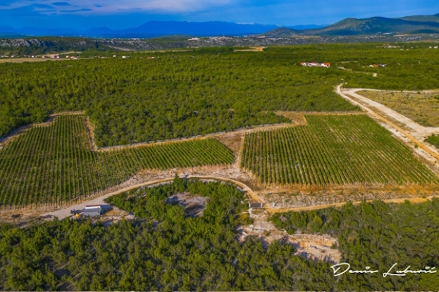 Predstavljena mlada ljubuška vinarija Majić [FOTO &amp; VIDEO]