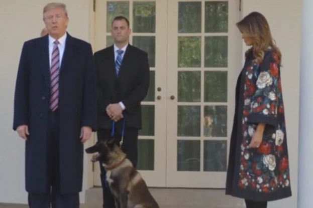 Trump odlikovao vojnog psa Conana