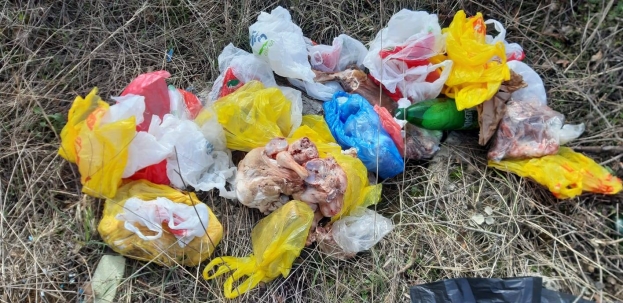 Divlja deponija u Ljubuškom: Jedni zagađuju, drugi čiste [FOTO]