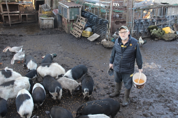 Kruno Grgić ljubitelj životinja - Magarice na daju puno mlijeka, a litra ko&scaron;ta 50 KM