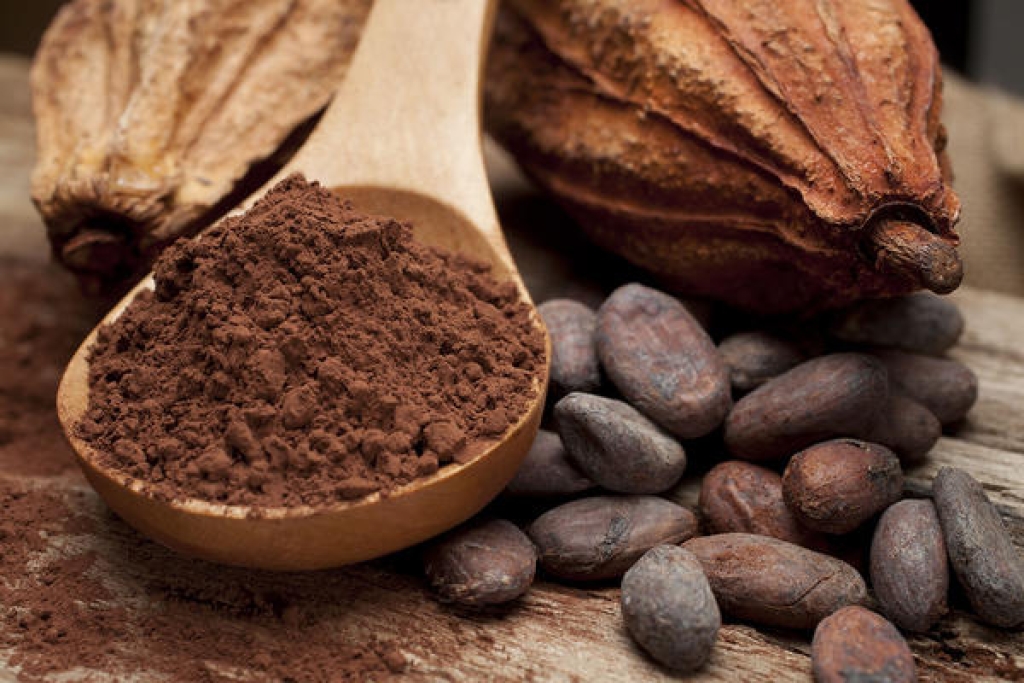Federalna sanitarna inspekcija zabranila uvoz 16 tona kakao praha