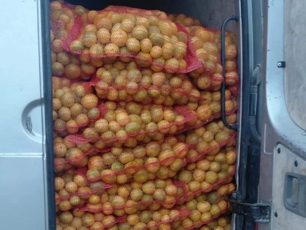 Zaustavljen u Ljubuškom: Pokušao unijeti 4,5 tona mandarina iz Hrvatske