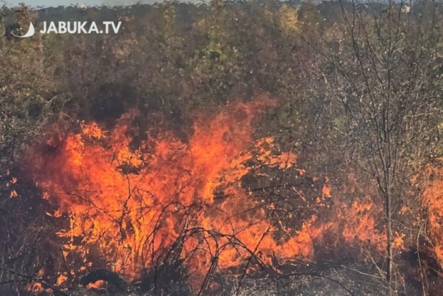 Buran vikend za vatrogasce u ŽZH: Kod Gruda izgorjelo 50 hektara, požar kod Posušja još aktivan