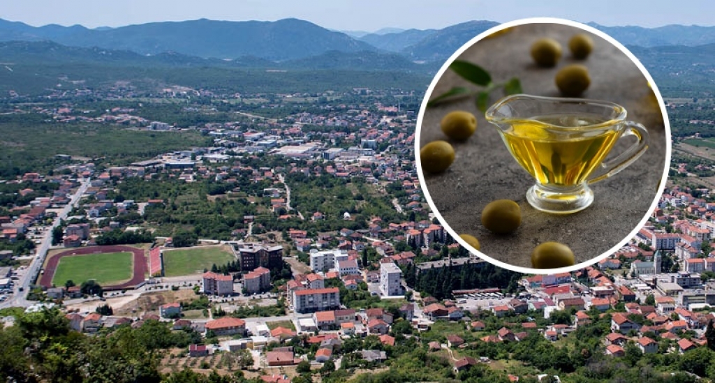 Maslinova ulja iz Ljubu&scaron;kog progla&scaron;ena najboljima na svijetu