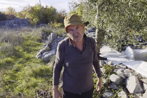 Berba u kamenu: Drago Čolak iz Grljevića već 30 godina ručno bere masline i stvara čudo u hercegovačkom kršu